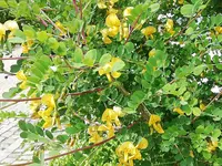IMG_20190523_122228.webp