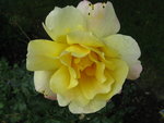 IMG_7180.JPG