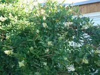 DSC_0001.JPG