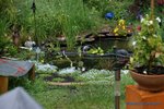 comp_DSC09002.jpg