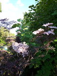 20200614_184217.jpg
