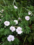 20200613_145656.jpg