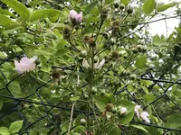 IMG_4703.webp