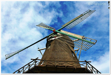 Nordsee Mühle in Hinte b.webp