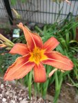 20200615_140956.jpg