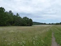 P1000880.webp