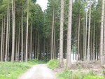 P1000913.JPG