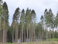 P1000915.webp