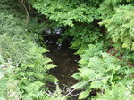 P1000916Wipper.JPG