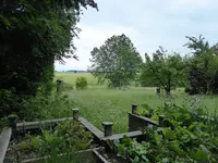 P1000764Blick übers hochbeet.JPG