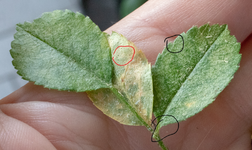 20200615_174851.webp 20200615_174851.webp