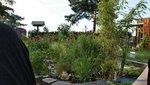 comp_DSC09013.jpg