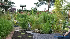 comp_DSC09014.webp