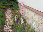 IMG_20200614_153401.jpg