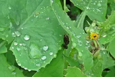 IMG_2764 v (2).webp