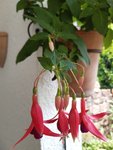20200613_140443.jpg