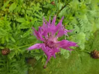 DSCF3675 (2).webp