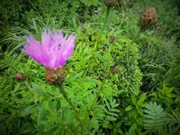 DSCF3676 (2).webp