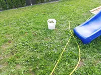 IMG_20200616_180704.webp