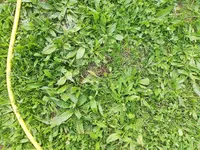 IMG_20200616_180700.webp