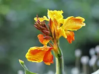 image001.webp