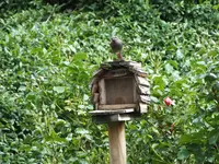 DSCF3682.webp