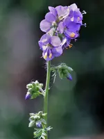 image002.webp