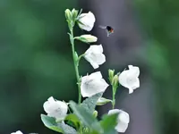 image003.webp