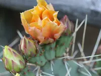 image004.webp
