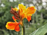image011.webp