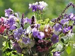image014.jpg