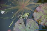 comp_DSC09018.jpg