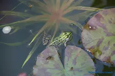 comp_DSC09018.webp