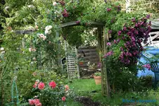 comp_DSC09022.webp