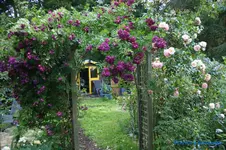 comp_DSC09023.webp