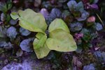 DSC_0267.JPG