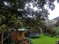 IMG_20200618_060529.jpg