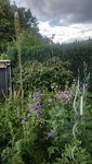 20200618_124238.jpg