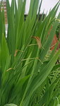 20200618_124059.jpg