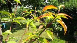 20200618_152245.webp