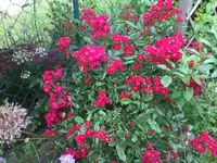 F123EB98-E21B-4BB7-B8DB-425A51BE4F14.webp