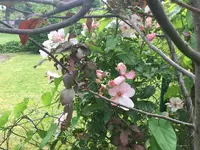 048F2688-3C68-4ABE-9832-FB9593CC779D.webp