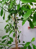 20200618_180122.webp