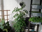 2020-06-18 18.33.00.jpg