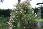 comp_DSC09025.jpg