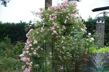 comp_DSC09025.webp