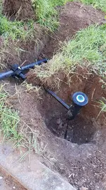 WhatsApp Image 2020-06-18 at 20.25.22 (4).webp WhatsApp Image 2020-06-18 at 20.25.22 (4).webp