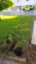 WhatsApp Image 2020-06-18 at 20.25.22 (1).webp WhatsApp Image 2020-06-18 at 20.25.22 (1).webp