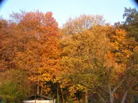 2009  Garten -10- 111.webp