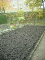 29.10.09 007.webp